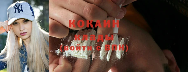 прущие грибы Аркадак