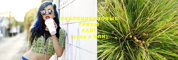 первитин Арсеньев