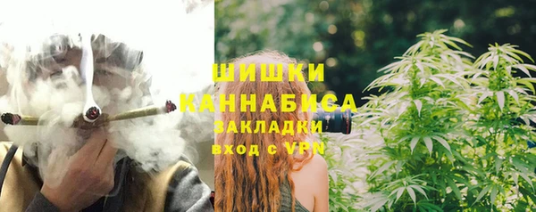 прущие грибы Аркадак