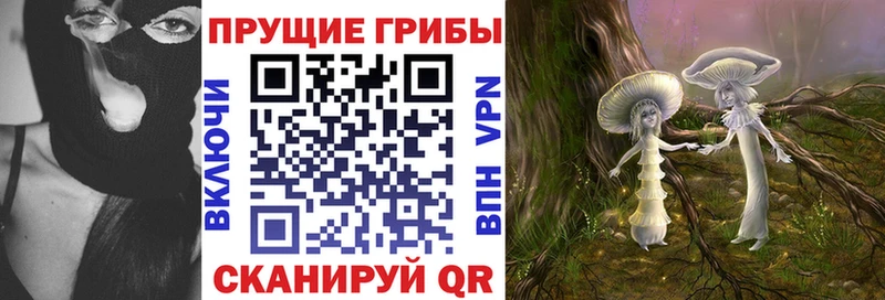 продажа наркотиков  Карабаш  Псилоцибиновые грибы GOLDEN TEACHER 